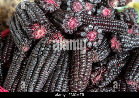 Pérou, Cusco, Marché de San Pedro. Black-kerneled maïs (maïs), l'une des nombreuses variétés Péruviennes. Banque D'Images