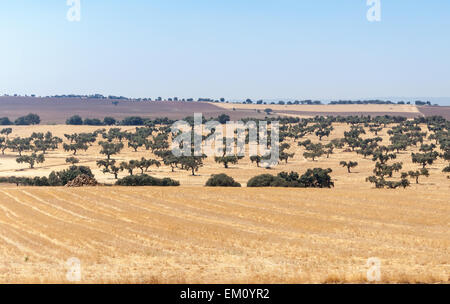 Paysage rural de la région d'Andalousie, dans le sud de l'Espagne Banque D'Images