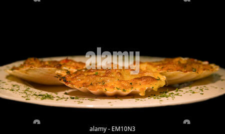 Assiette de coquilles St Jacques avec le mollusque gratinées isolataded sur fond noir Banque D'Images