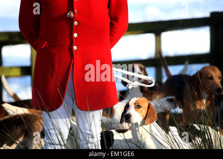 Rivington boxing day hunt . Huntsman et les chiens Banque D'Images