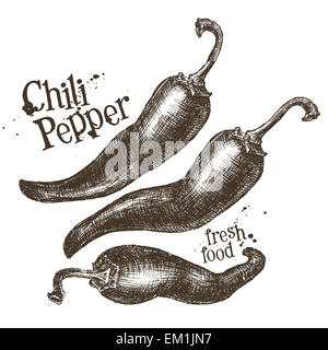 Chili Pepper logo vector modèle. des légumes frais, de l'alimentation ou la cuisine. Banque D'Images