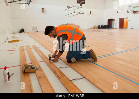 Un travailleur fixe le plancher en bois d'érable dans un terrain de basket-ball. Banque D'Images