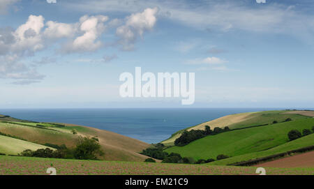 Coastal View, Coleton Fishacre, près de Kingjure, Devon, Angleterre Banque D'Images