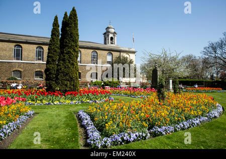 Fleurs de Printemps à St Johns Wood Church Gardens London UK Banque D'Images