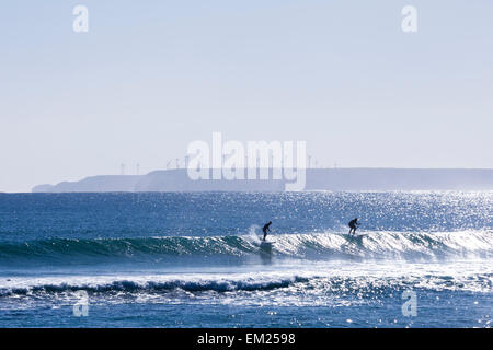 Stand Up Paddle boarders à Marrawah. Banque D'Images