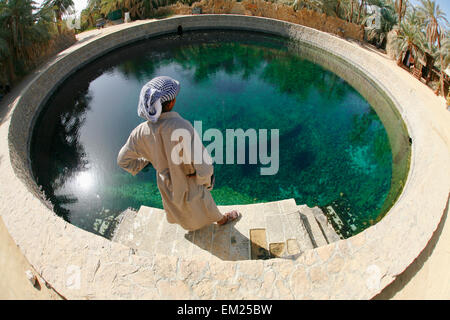 Un homme regarde dans Siwan Local Cleopatra's Pool A l'eau douce naturelle de printemps à l'oasis de Siwa Siwa Siwa Egypte ; Banque D'Images