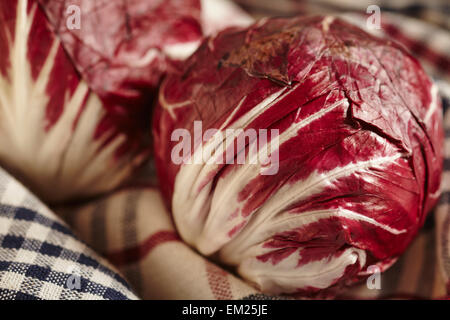 Les chefs d'ensemble radicchio ou chicorée italienne Banque D'Images