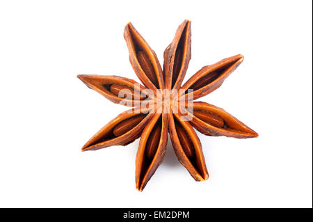 Étoile d'anis sur fond blanc Banque D'Images