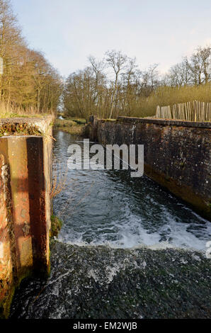 L'ensablé cours de la North Walsham et Dilham Canal (rivière) Ant à l'aiguiser à l'abandon, de blocage maintenant une weir, vue en aval. Banque D'Images