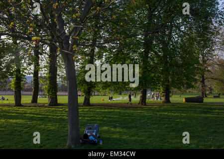 L'homme utilise coffre sous les arbres dans un parc d'été dans le sud de Londres. Banque D'Images