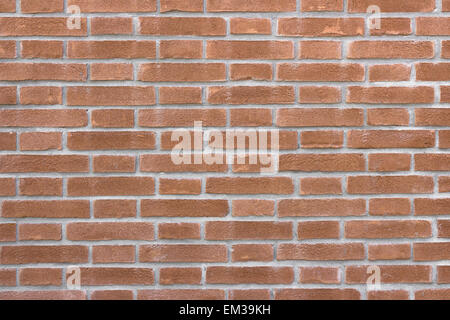 Vue de face d'un mur avec des briques disposées en mode normal. Banque D'Images