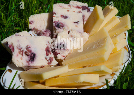 Fromage jaune et du fromage avec des canneberges servi sur l'herbe Banque D'Images