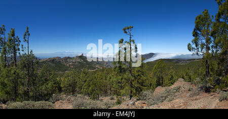 Gran Canaria, Los Cumbres - les zones les plus élevées de l'île, vue en direction de Roque Nublo et Teide à Tenerife Banque D'Images