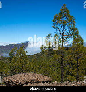 Gran Canaria, Los Cumbres - les zones les plus élevées de l'île, une couverture de nuages qui se jettent dans la Caldera de Tejeda Banque D'Images