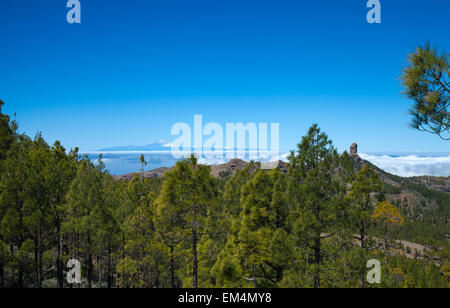 Gran Canaria, Los Cumbres - les zones les plus élevées de l'île, vue en direction de Roque Nublo et Teide à Tenerife Banque D'Images