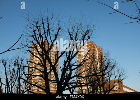 Silhoutette d'arbres en face de deux tours d'habitation du conseil à Southwark, Londres, Royaume-Uni. Banque D'Images