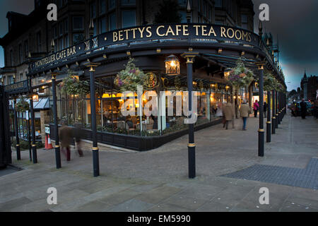 Royaume-uni, Angleterre, dans le Yorkshire, Harrogate, Parliament Street, Betty's Tea Rooms à Noël, vision de nuit Banque D'Images