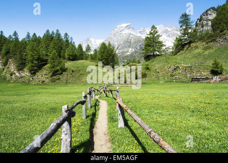 Alp Devero près du village de Crampiolo, Piémont - Italie Banque D'Images