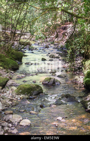 Moniack graver à Reelig Glen en Ecosse. Banque D'Images