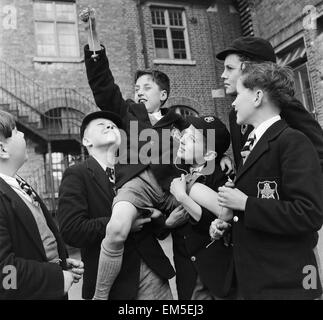 Un groupe d'amis qui participent à un jeu de conkers dans leur école. Septembre 1950. Banque D'Images