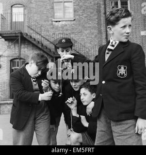 Un groupe d'amis qui participent à un jeu de conkers dans leur école. Septembre 1950. Banque D'Images