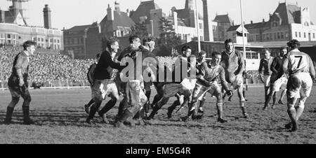 Pays de Galles v Ecosse cinq nations de rugby gallois le championnat sur l'attaque au cours de leurs cinq nations match contre l'Ecosse à Cardiff Arms Park. Le score final est de 11 - 0 pour le pays de Galles qui remportèrent le championnat par un grand chelem. 2 Février 1952 Banque D'Images