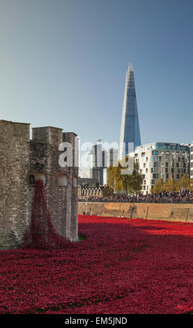 Une mer de coquelicots rouges à la Tour de Londres, au Royaume-Uni. Banque D'Images