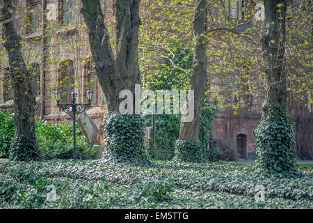 Jardins botaniques de mystérieux vert au printemps Wroclaw Banque D'Images