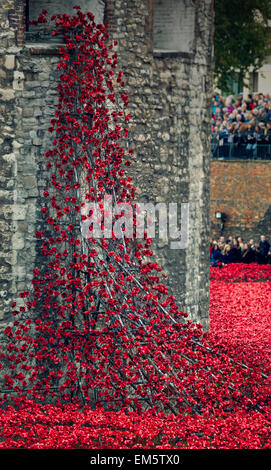 Une cascade de coquelicots en céramique à la Tour de Londres, au Royaume-Uni. Banque D'Images