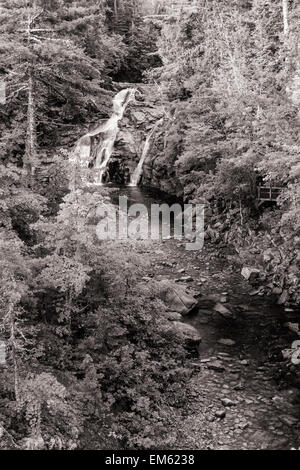 Mary Ann Falls Brook et serpente à travers la forêt dans la région de Cape Breton Highlands National Park, en Nouvelle-Écosse (B&W) Banque D'Images