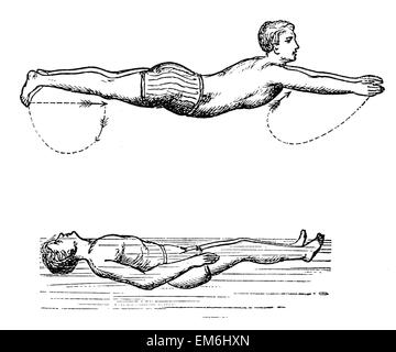 La natation et le dos Banque D'Images