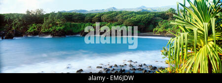 USA, Hawaii, Maui, Waianapanapa State Park ; Hana, feuillage vert luxuriant et mousseux océan sur des roches de lave Banque D'Images