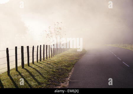 Route de campagne dans le brouillard Banque D'Images