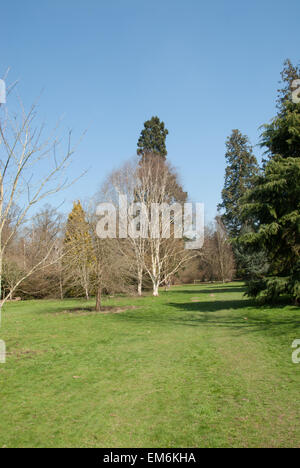 L'arboretum à Langley Park, Buckinghamshire Banque D'Images
