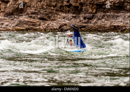 Un homme fallling de son conseil SUP sur la rivière Snake, WY Banque D'Images