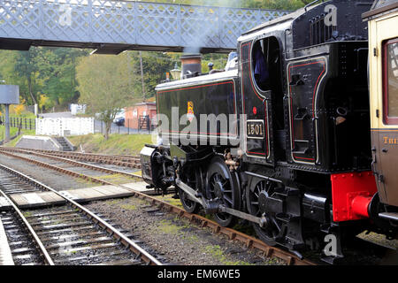 Hawksworth Pannier - Réservoir n°1501 attend dans une voie de garage avec un passenegr, train, Severn Valley Railway Shrewsbury, Shropshire, Angleterre Banque D'Images