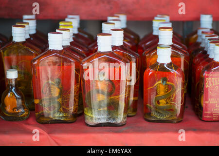 Snake whisky pour la vente ; Laos Banque D'Images