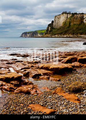 Vue prise à partir d'une plate-forme de coupe vague sur la plage à l'est du Devon Seaton Angleterre UK et à l'ouest en direction de la bière Banque D'Images