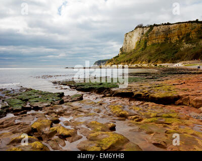 Vue prise à partir d'une plate-forme de coupe vague sur la plage à l'est du Devon Seaton Angleterre UK et à l'ouest en direction de la bière Banque D'Images