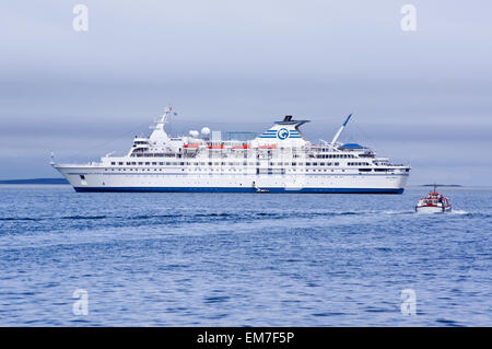 Mme Delphin cruise ship paquebot amarré au large du port de Kirkwall, Orkney, Scotland Banque D'Images