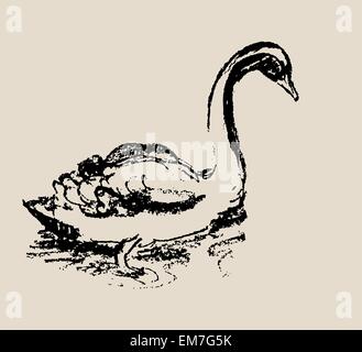 Magnifique Swan Sketch Illustration de Vecteur