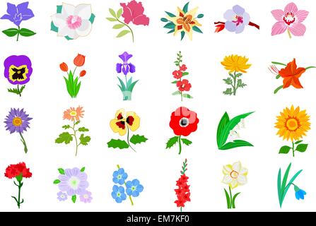 Ensemble d'illustration couleur des fleurs Illustration de Vecteur