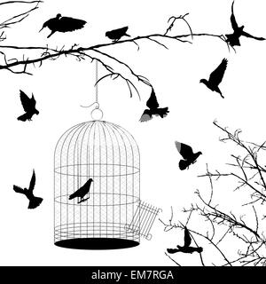 Les oiseaux et les silhouettes de cage Illustration de Vecteur