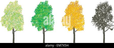 Arbre à quatre saisons Illustration de Vecteur