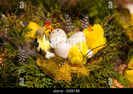 Décoration de Pâques - d'oeufs et de poulets Banque D'Images