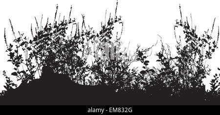 Silhouette d'herbe et d'insectes Illustration de Vecteur