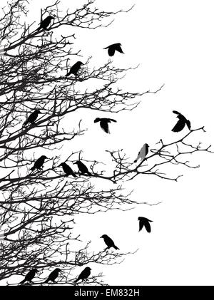 La silhouette des arbres avec des oiseaux Illustration de Vecteur