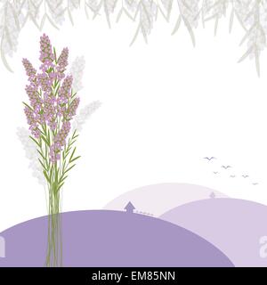 Fleur de Lavande pourpre Illustration de Vecteur