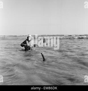 Navigateur maître Colin Walsh de la RAF Air Sea Rescue Service est à la hauteur de la taille dans l'eau sur un banc de sables bitumineux à Goodwin, tout près de la côte de Ramsgate, suite à la découverte d'un bombardier Lancaster de la RAF qui n'a pas réussi à rendre à la maison de sa mission dans la seconde guerre mondiale. Les hommes de la RAF au service de sauvetage dans le Kent Manston numérisation continuellement les mers et repéré les trois hélices sortant de l'eau, ce qui les conduit à examiner de plus près. 6e février 1964. Banque D'Images