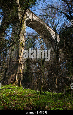 Le Pontburn viaduc qui enjambe la rivière Pont brûler dans le comté de Durham. Banque D'Images